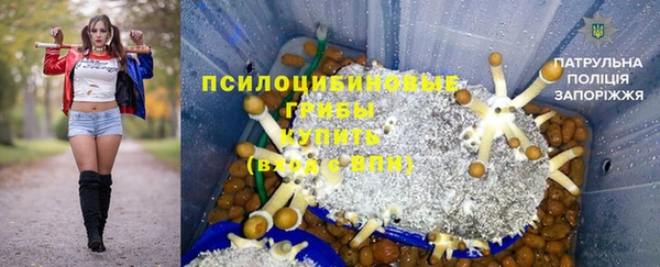 бошки Алексин