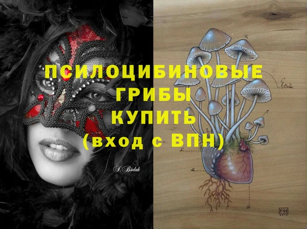 ALPHA-PVP Аркадак