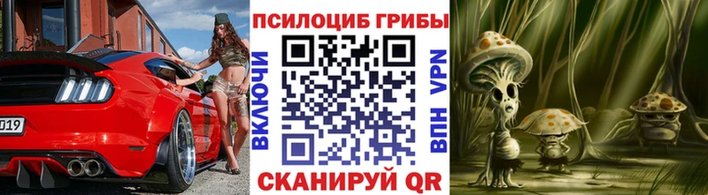 OMG зеркало  Набережные Челны  Псилоцибиновые грибы мухоморы  где найти наркотики 