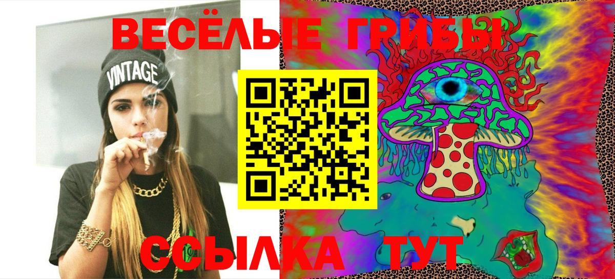 Галлюциногенные грибы GOLDEN TEACHER  Псилоцибиновые грибы мицелий  Вход с VPN  Набережные Челны 